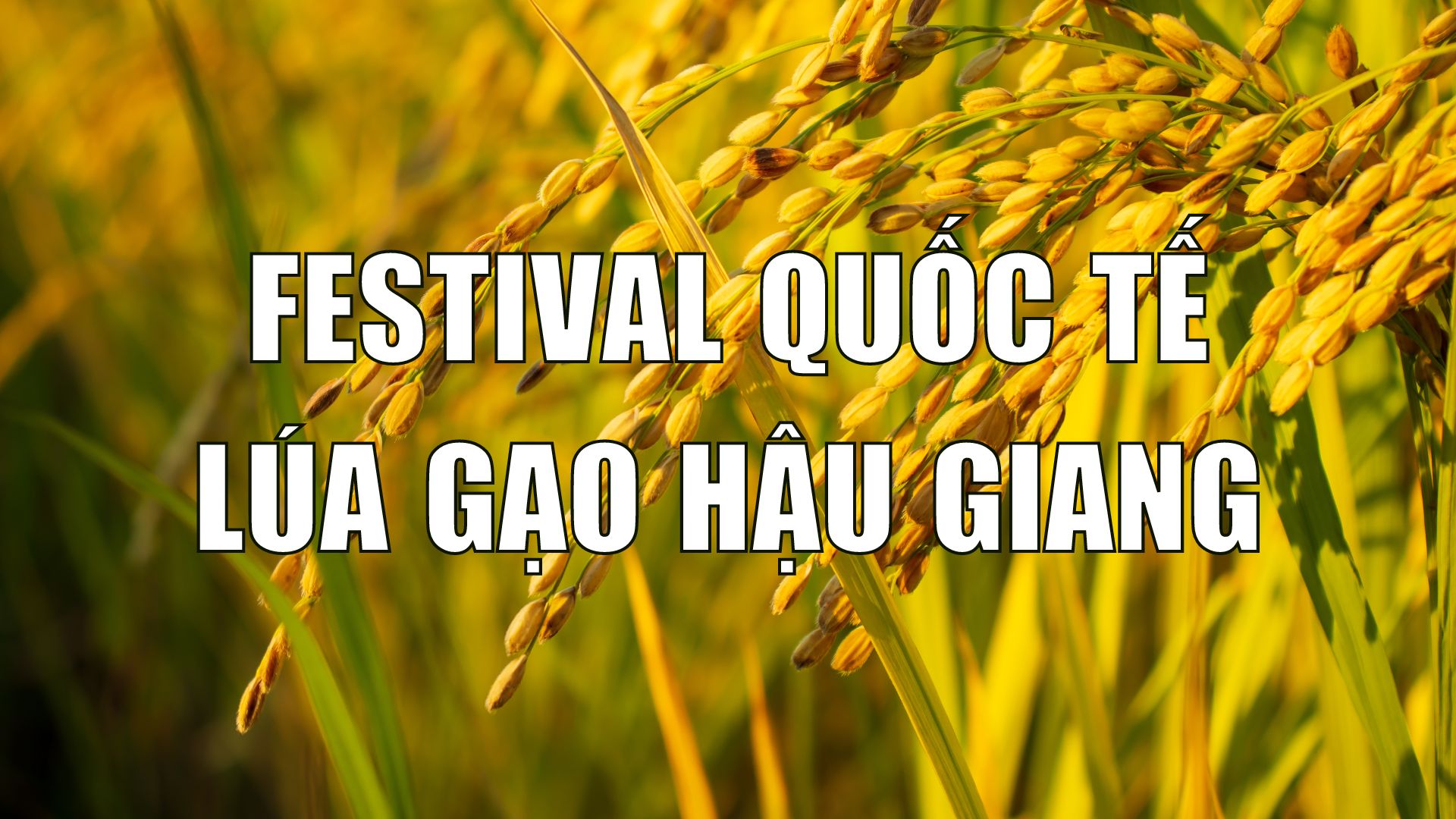 FESTIVAL QUỐC TẾ NGÀNH HÀNG LÚA GẠO VIỆT NAM NĂM 2023